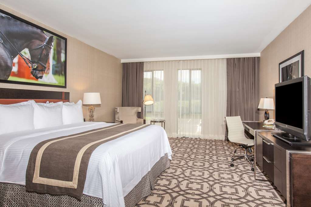 Delta Hotels By Marriott Baltimore Hunt Valley Værelse billede
